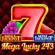 Mega Lucky 243 image