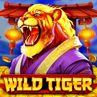 Wild Tiger игра