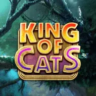 King of Cats Bild