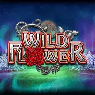 Wild Flower Bild