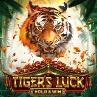 Tiger's Luck - Hold & Win image