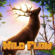 Wild Flow Bild