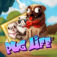 Pug Life игра