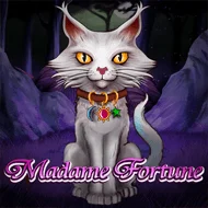 Madame Fortune image