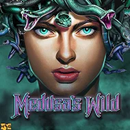Medusa's Wild игра