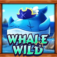 Whale Wild image