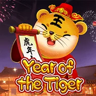 Year Of The Tiger image