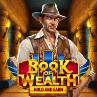 Book of Wealth III игра