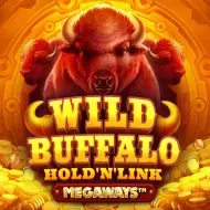 Buffalo Megaways: Hold 'N' Link игра
