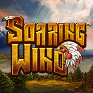 Soaring Wind игра