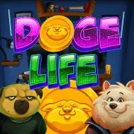 Doge Life игра