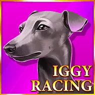 Iggy Racing игра