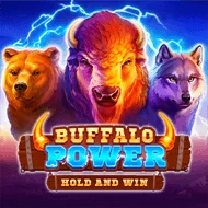 Buffalo Power Hold and Win игра