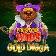 Prospector Wilds: Gold Digga игра