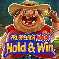 Prospector Wilds Hold and Win игра