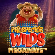Prospector Wilds Megaways игра