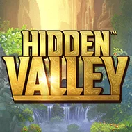 Hidden Valley 120 игра
