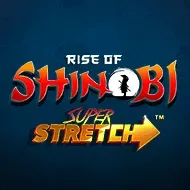 Rise of Shinobi игра