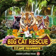 Big Cat Rescue MegaWays игра