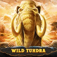 Wild Tundra игра