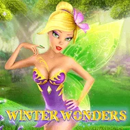 Winter Wonders игра