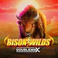Bison Wilds Doublemax игра