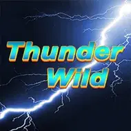 Thunder Wild игра
