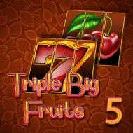 Tripple Big Fruits 5 игра