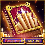 Book Of Muertos image