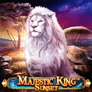 Majestic King - Sunset bilde