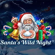 Santa’s Wild Night image
