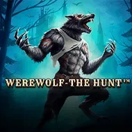 Werewolf - The Hunt image