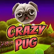 Crazy Pug игра