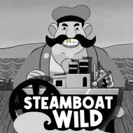 Steamboat Wild игра
