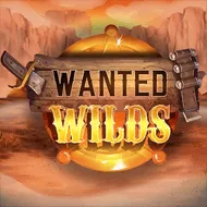 Wanted WILDS игра