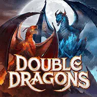 Double Dragons игра